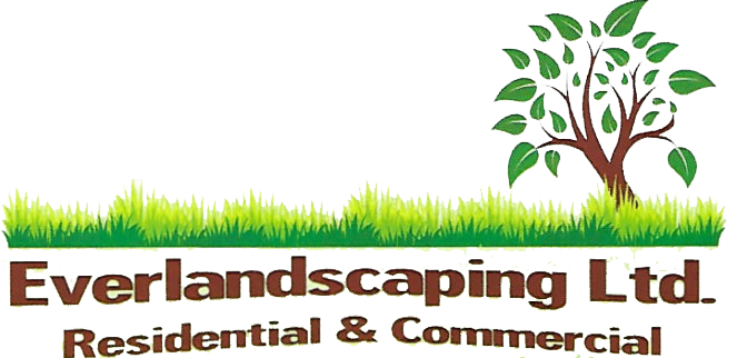 Ever Landscaping Ltd.